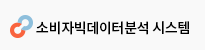 소비자 빅데이터 분석 시스템
